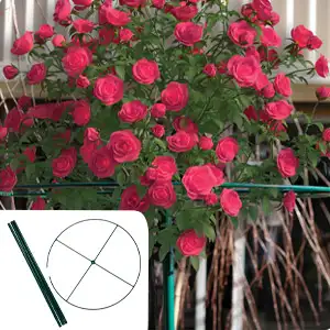 Fun And Unusual Gardening Gifts 