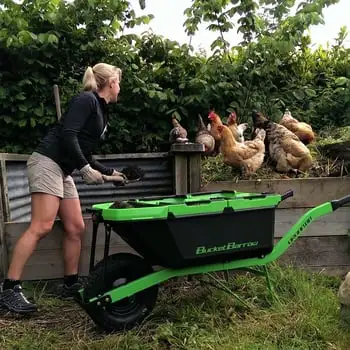 Top Tips To Prepare For Your Autumn Planting Webp Net Resizeimage 10 - Garden Express Australia