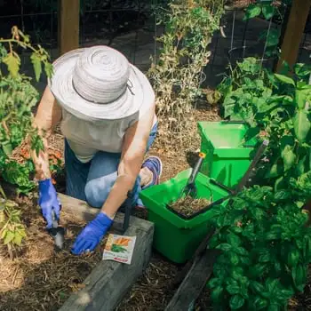 Top Tips To Prepare For Your Autumn Planting Webp Net Resizeimage 12 - Garden Express Australia