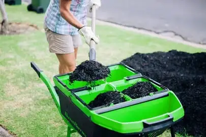 Top Tips To Prepare For Your Autumn Planting Webp Net Resizeimage 13 - Garden Express Australia