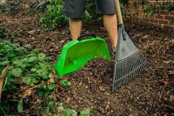 Top Tips To Prepare For Your Autumn Planting Webp Net Resizeimage 8 - Garden Express Australia