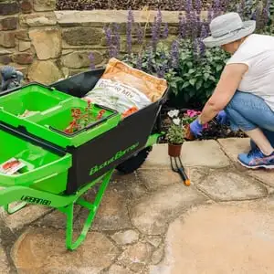 Top Tips To Prepare For Your Autumn Planting Webp Net Resizeimage 9 - Garden Express Australia