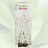 Ballerina Apple Flamenco Ballerina Apple Flamenco