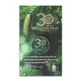 Wollemi Pine Gift Pack 150mm Pot Plus Bonus Wollemi Pine Gift Pack 150mm Pot Plus Bonus