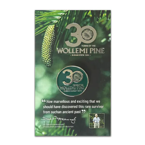 Wollemi Pine Gift Pack 150mm Pot Plus Bonus