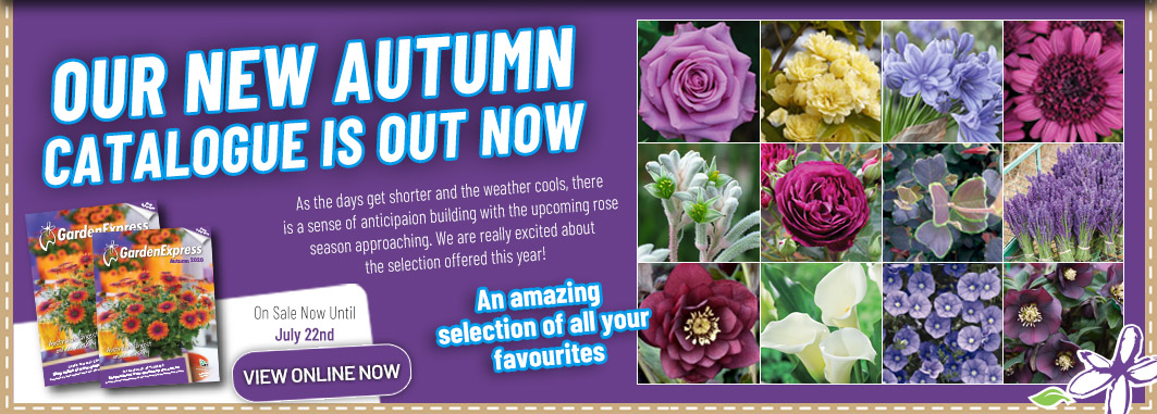 Ge Catalogue Autumn - Garden Express Australia