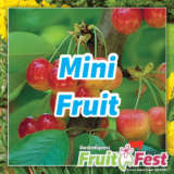 Trees - Mini Fruit