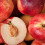 Nectarine Goldmine13 - Garden Express Australia