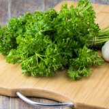 Herb Parsley Curly