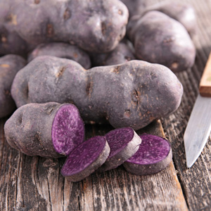 Certified Seed Potato Purple Congo