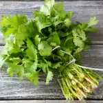 Planting Herbs In Spring Coriander Common Pplhercoc - Garden Express Australia