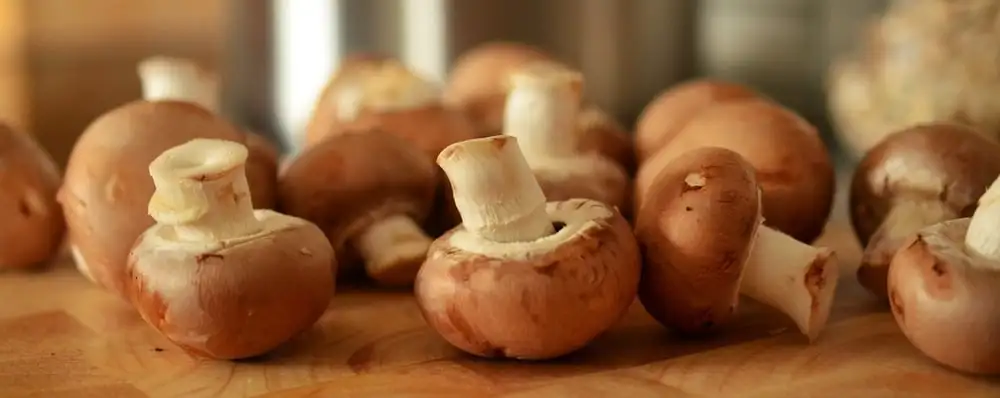 Mushroom Growing Guide Webp Net Resizeimage 4 1 1 - Garden Express Australia