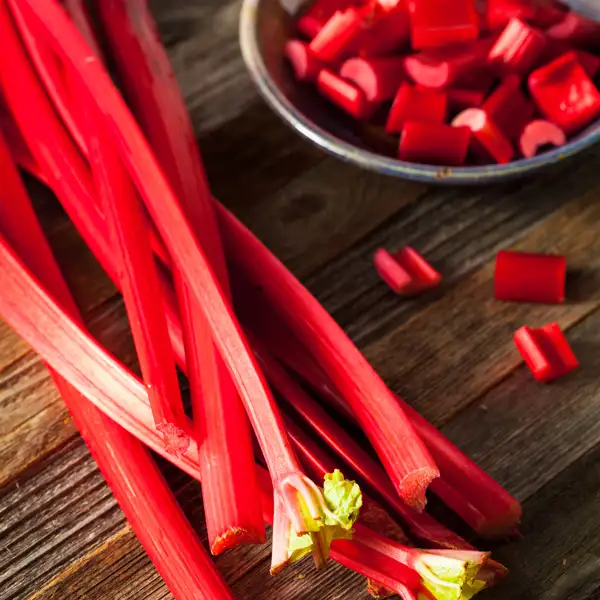 Rhubarb Success