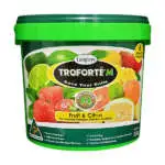 Avocado Trees Growing Guide Troforte 3 5kg Fruit Citrus - Garden Express Australia