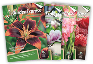 Winter Catalogue Graphic - Garden Express Australia