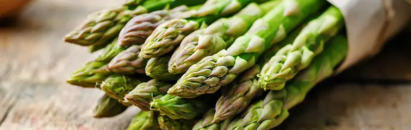 Asparagus Growing Guide Header Asparagus - Garden Express Australia