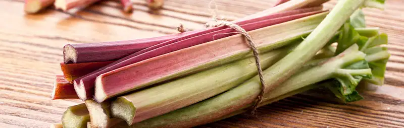 Rhubarb Growing Guide Header Rhubarb - Garden Express Australia