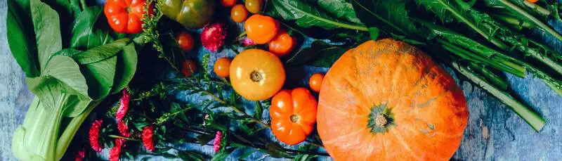 Photinia Growing Guide Rsz 1pexels Ella Olsson 1458694 - Garden Express Australia