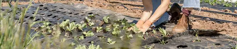 Spring Gardening Tips Rsz Zoe Schaeffer D Vjfp1ds1y Unsplash - Garden Express Australia