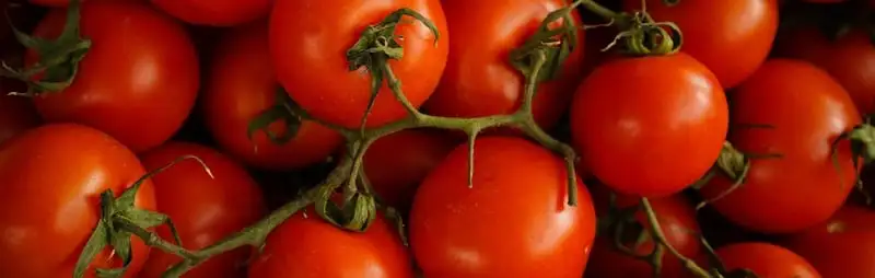 Companion Planting In Spring Webp Net Resizeimage 1 - Garden Express Australia