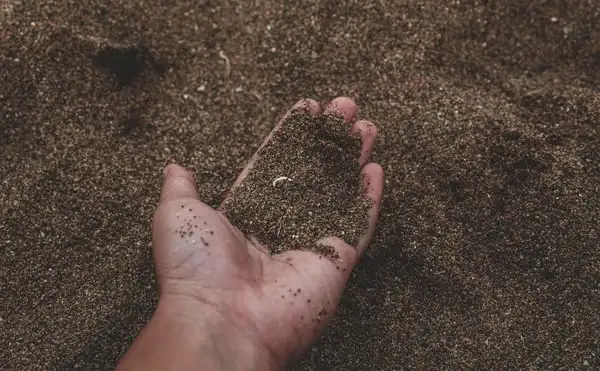 Webp Net Resizeimage 10 - Garden Express Australia