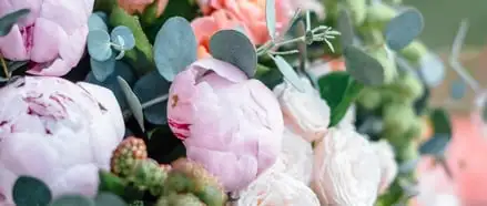 Flowers To Plant In Spring Webp Net Resizeimage 3 - Garden Express Australia