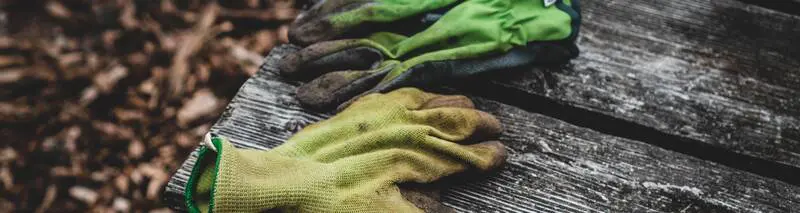 Christmas Gifts For Gardeners Rsz Jonathan Kemper Kyl3yp2hwtq Unsplash - Garden Express Australia