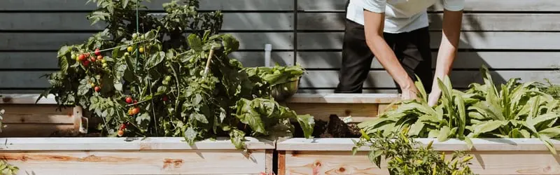 Fun And Unusual Gardening Gifts Webp Net Resizeimage 12 - Garden Express Australia