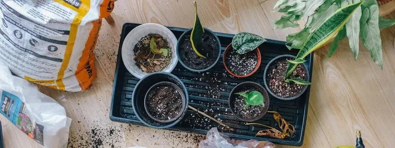 Gifts For Vegetable Gardeners Webp Net Resizeimage - Garden Express Australia