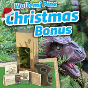 Wollemi Christmas Bonus Pack