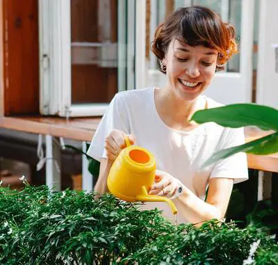 Rsz Pexels Tim Douglas 6205760 - Garden Express Australia