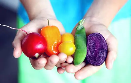 Are Homegrown Vegetables More Nutritious? Rsz Pexels Sharon Mccutcheon 1196516 - Garden Express Australia