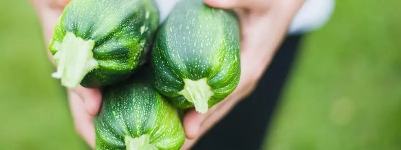 Are Homegrown Vegetables More Nutritious? Webp Net Resizeimage 4 - Garden Express Australia