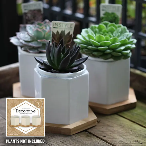 Hexagonal Ceramic Pot – Trio (3 X 100mm)