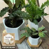 Hexpots 3sizes - Garden Express Australia