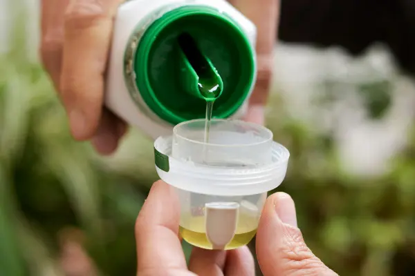 Liquid Vs. Solid Fertilizer 14 - Garden Express Australia