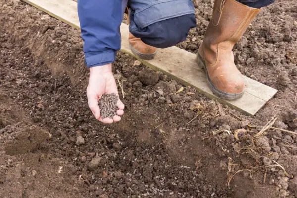 Liquid Vs. Solid Fertilizer 16 - Garden Express Australia