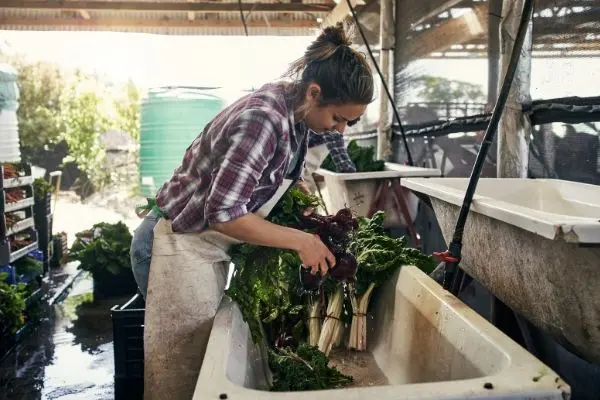 Liquid Vs. Solid Fertilizer 18 - Garden Express Australia