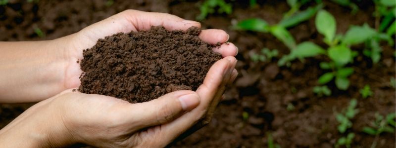 composting soil