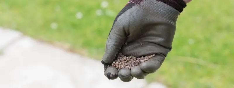 fertilising to fix nitrogen levels