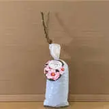 Rose Berry Delightful Rose Berry Delightful