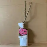 Rose Perfume Passion (pbr) Rose Perfume Passion (pbr)