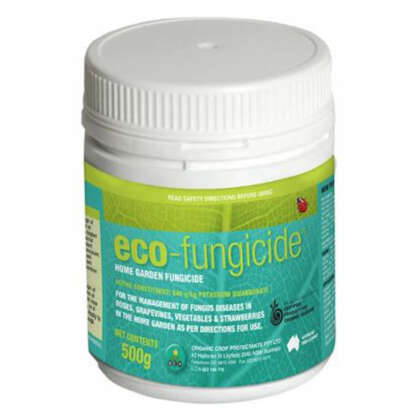 Eco Organic Fungicide