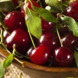 Cherry Starkrimson Trechesta Scaled - Garden Express Australia