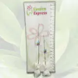 Pin Oak – Tree Pin Oak – Tree