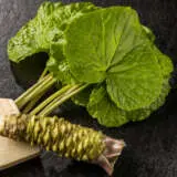 Wasabi Mazuma Pplwasmaz - Garden Express Australia