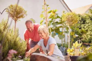 How To Plant Bare Root Trees 9 - Garden Express Australia