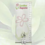 White Adriatic Fig White Adriatic Fig