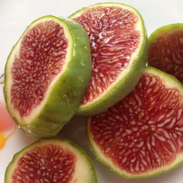 White Adriatic Fig