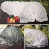 Ga Garden Tunnel Coll Colgagt3pk - Garden Express Australia